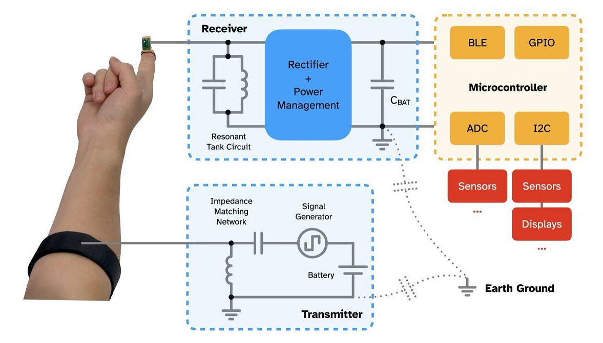 image-20250119172335905